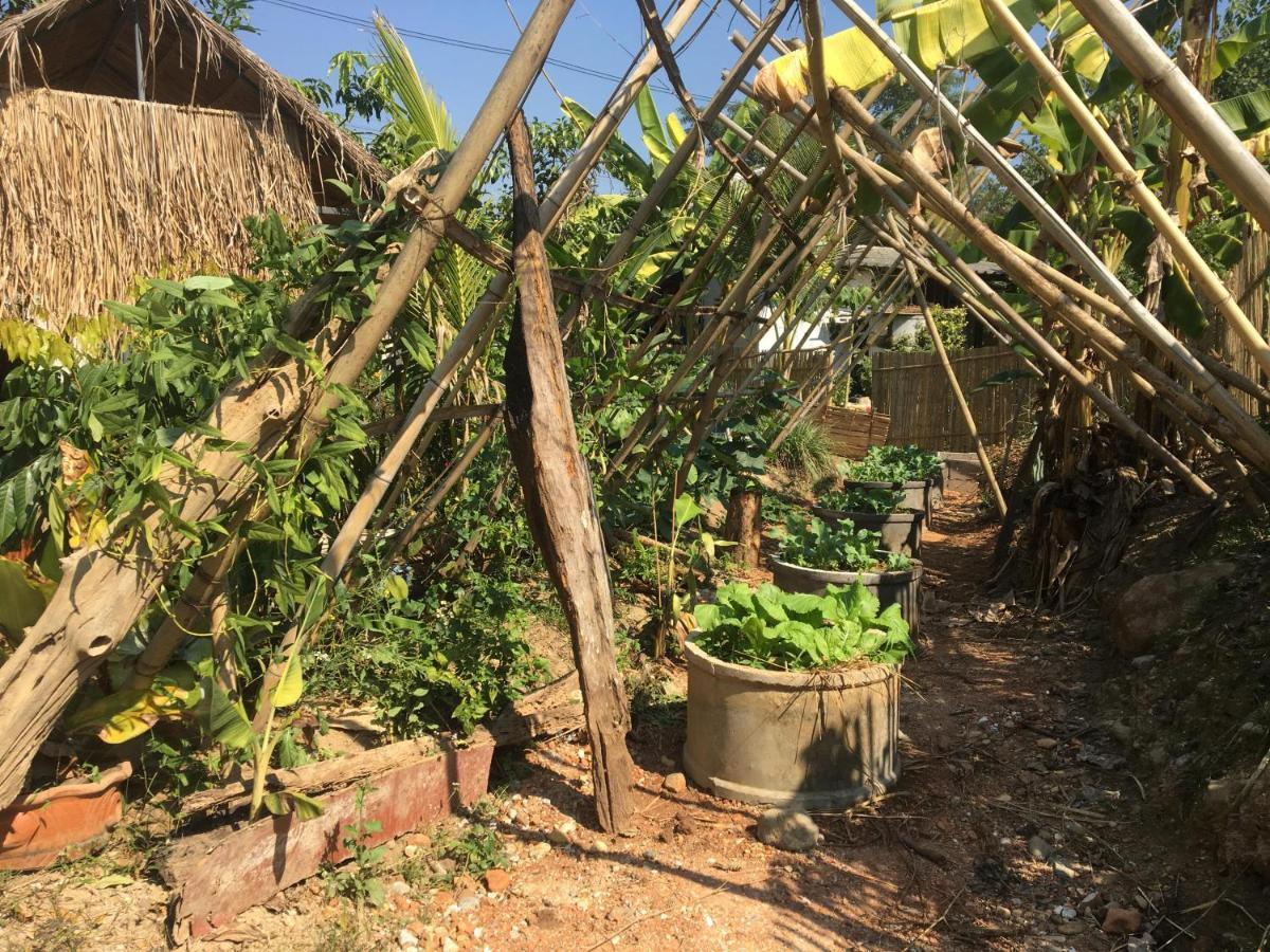 Thong Family Homestay Chiangdao Chiang Dao Extérieur photo