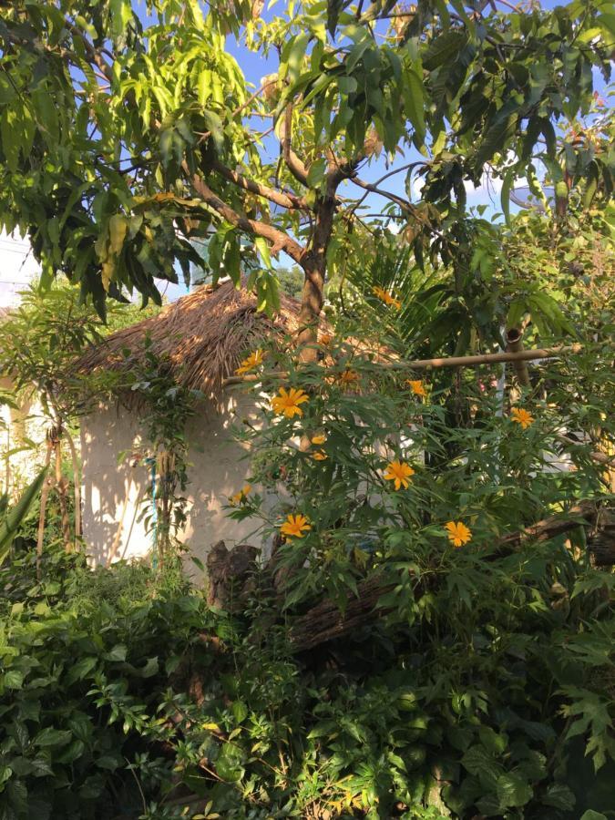 Thong Family Homestay Chiangdao Chiang Dao Extérieur photo